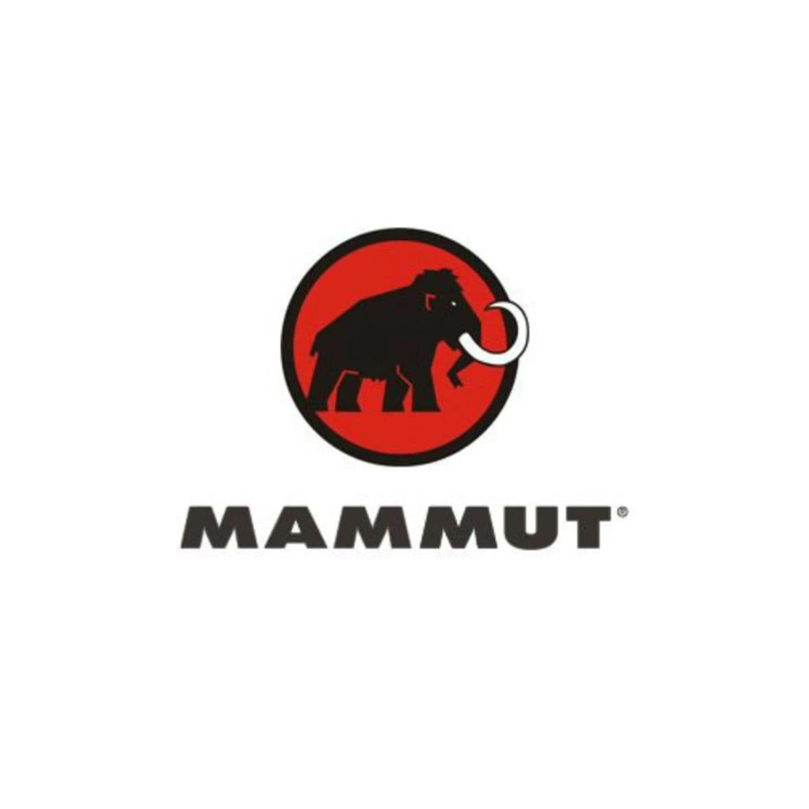 Partner Brand 3
